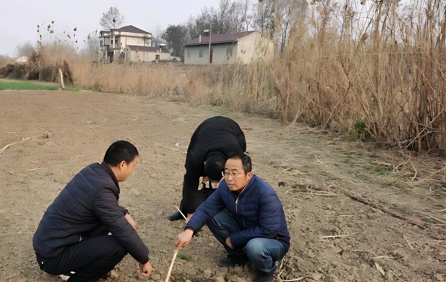 蔬菜、小麦、果树倒春寒预防措施(小麦倒春寒的预防措施)