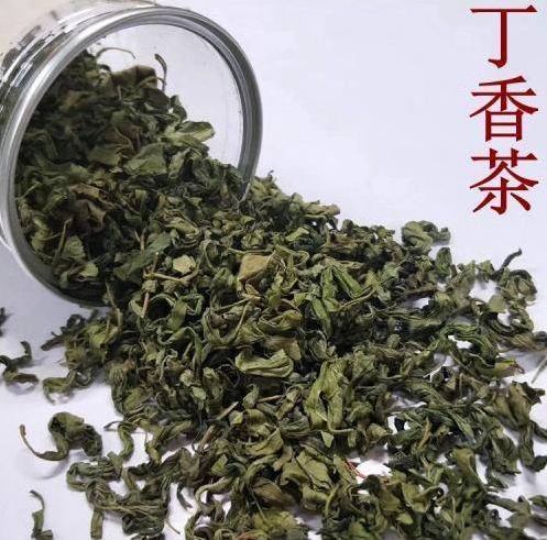 丁香茶可以长期喝吗(丁香茶能常喝吗?)